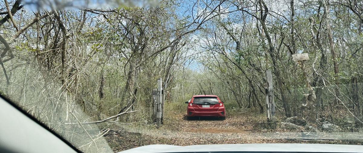 Foto de terreno habitacional en venta en  , san bernabe, peto, yucatán, 29517974 No. 05