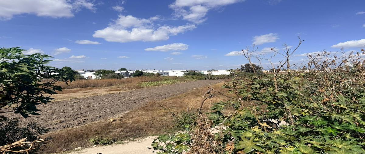 Foto de terreno habitacional en , san bernardino tlaxcalancingo, san andrés cholula, puebla, 0 foto 03 Foto de terreno habitacional en venta en , san bernardino tlaxcalancingo, san andrés cholula, puebla, 0 No. 03