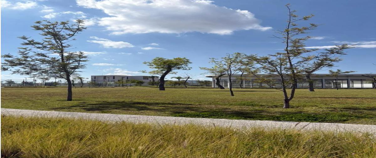 Foto de terreno habitacional en venta en  , san bernardino tlaxcalancingo, san andrés cholula, puebla, 0 No. 03