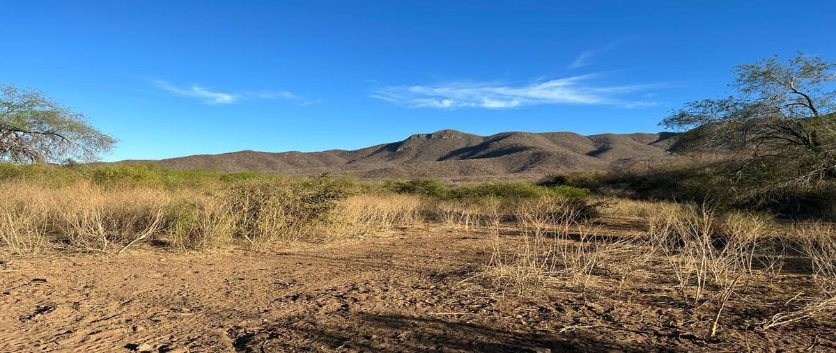 Foto de terreno habitacional en venta en  , san blas centro, el fuerte, sinaloa, 0 No. 04