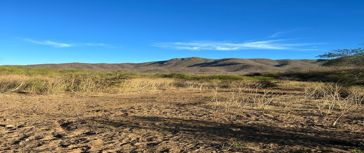 Foto de terreno habitacional en venta en  , san blas centro, el fuerte, sinaloa, 0 No. 05