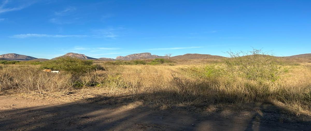 Foto de terreno habitacional en venta en  , san blas centro, el fuerte, sinaloa, 0 No. 03