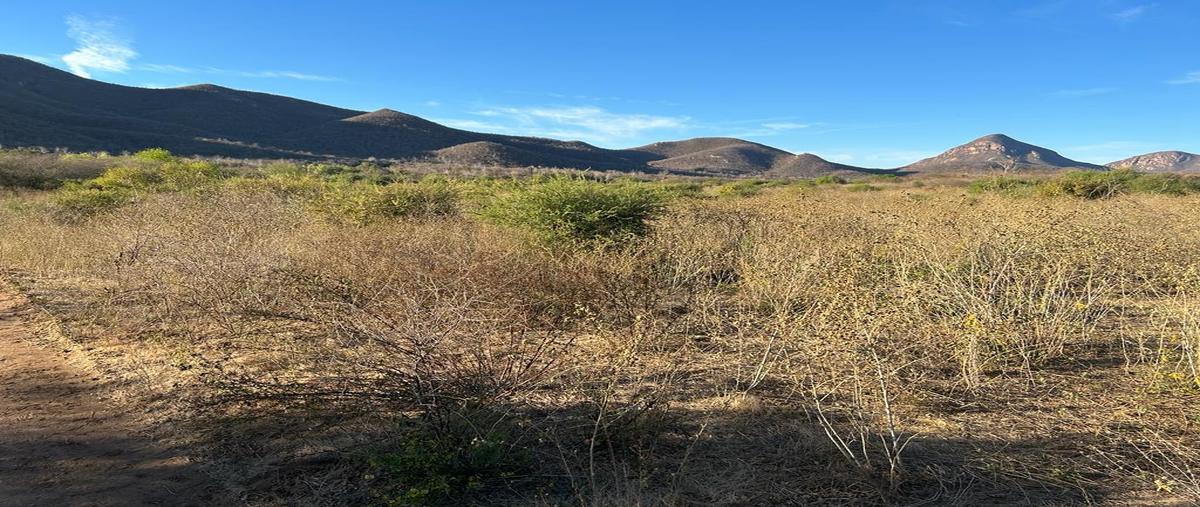 Foto de terreno habitacional en venta en  , san blas centro, el fuerte, sinaloa, 0 No. 04
