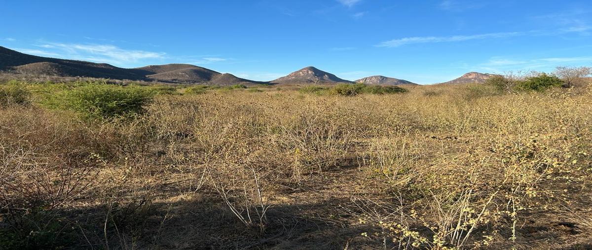 Foto de terreno habitacional en venta en  , san blas centro, el fuerte, sinaloa, 0 No. 05