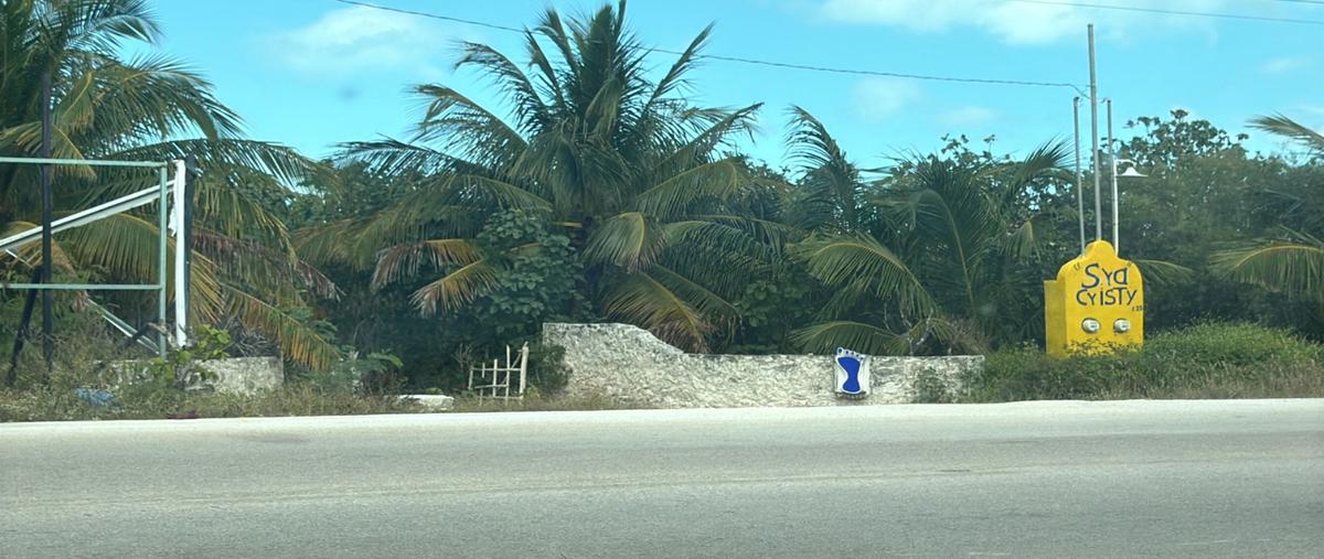Foto de terreno habitacional en venta en san bruno , chicxulub puerto, progreso, yucatán, 29467765 No. 03