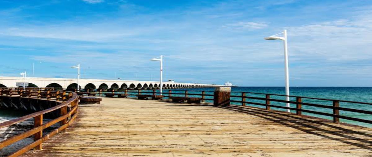 Foto de terreno habitacional en venta en san bruno , chicxulub puerto, progreso, yucatán, 29467765 No. 05