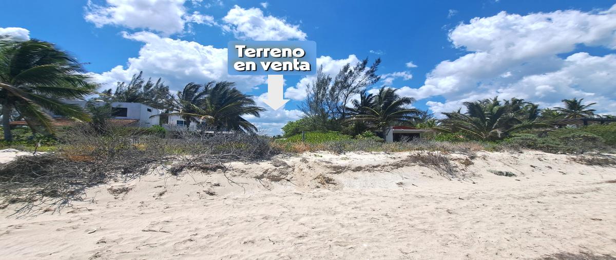Foto de terreno habitacional en venta en san bruno, dzemul , dzemul, dzemul, yucatán, 29550565 No. 04