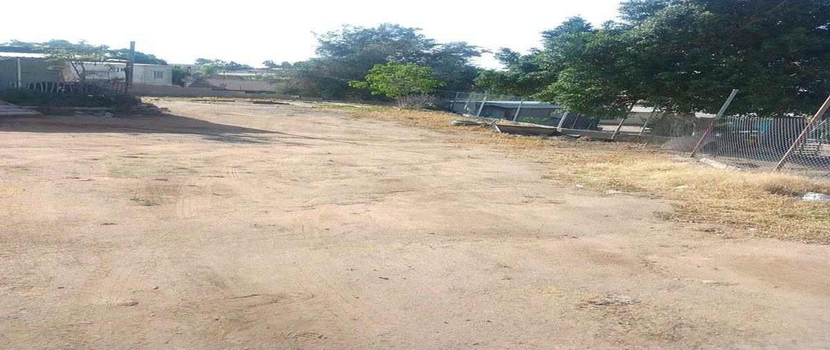 Foto de terreno habitacional en venta en  , san carlos (ejido nacionalista), ensenada, baja california, 30926389 No. 03