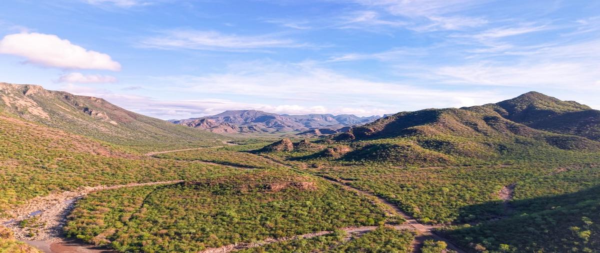 Foto de terreno habitacional en venta en  , san carlos, loreto, baja california sur, 30320249 No. 05