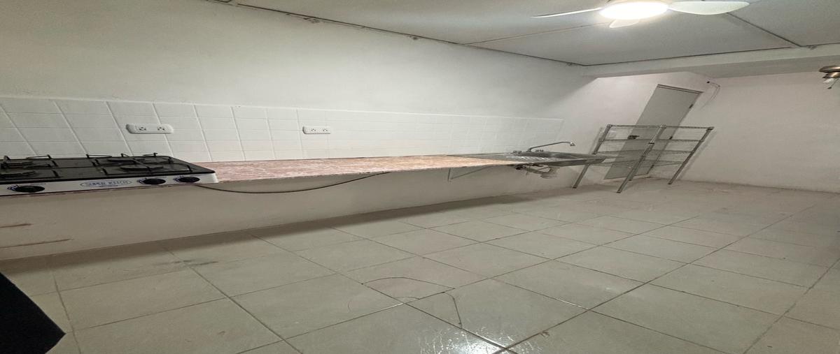 Foto de casa en renta en  , san carlos, mérida, yucatán, 0 No. 04