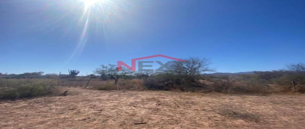 Foto de terreno habitacional en venta en san carlos (san carlos nuevo guaymas) 0, san carlos (san carlos nuevo guaymas), guaymas, sonora, 25106926 No. 03
