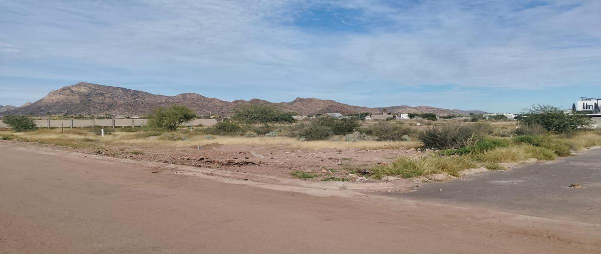 Foto de terreno habitacional en , san carlos (san carlos nuevo guaymas), guaymas, sonora, 0 foto 01 Foto de terreno habitacional en venta en , san carlos (san carlos nuevo guaymas), guaymas, sonora, 0 No. 01