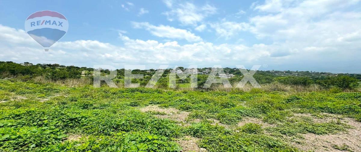 Foto de terreno habitacional en venta en san carlos , san carlos, yautepec, morelos, 0 No. 04