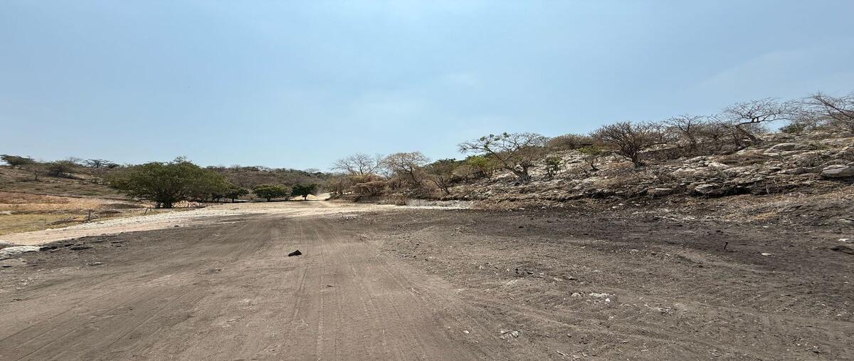 Foto de terreno habitacional en venta en san carlos , san carlos, yautepec, morelos, 29739791 No. 02