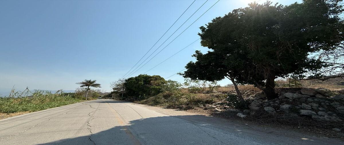 Foto de terreno habitacional en venta en san carlos , san carlos, yautepec, morelos, 0 No. 05