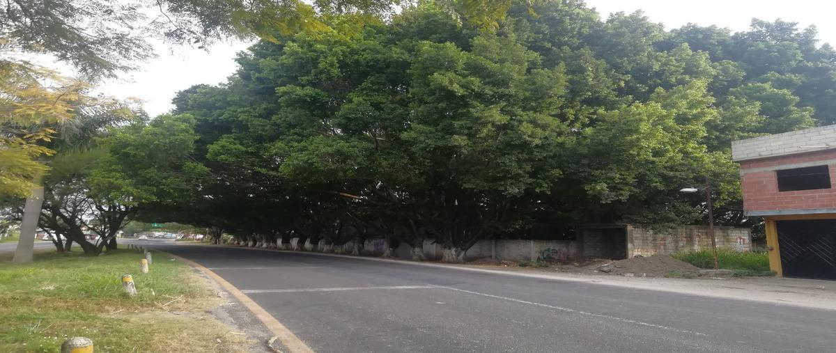 Foto de terreno habitacional en venta en  , san carlos, yautepec, morelos, 18472261 No. 04