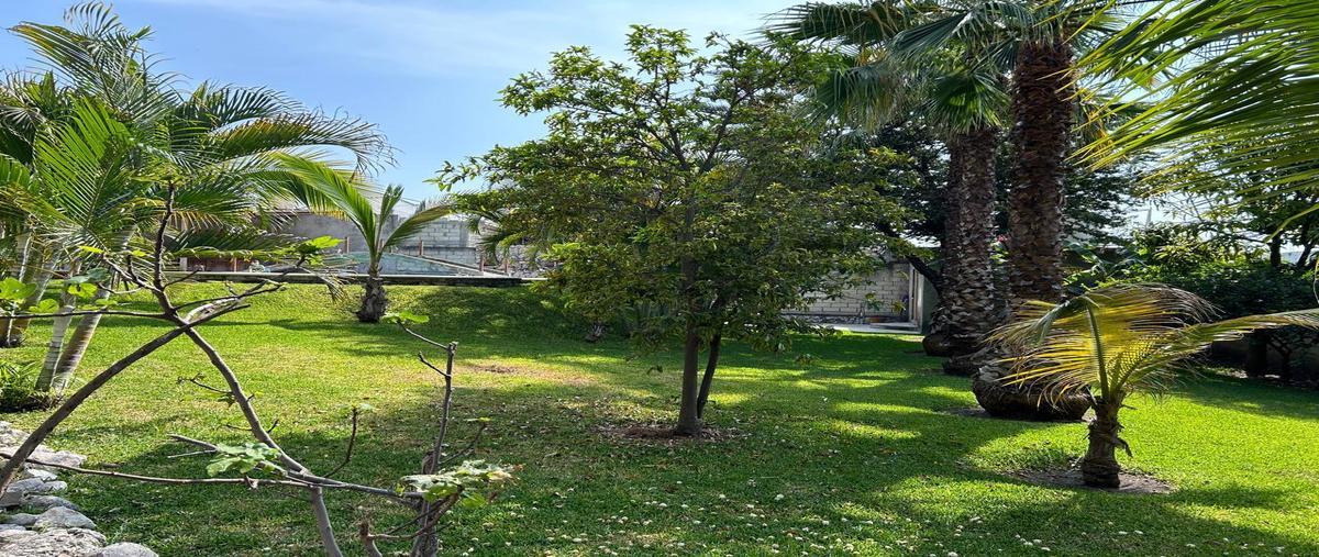 Foto de terreno habitacional en venta en  , san carlos, yautepec, morelos, 0 No. 03