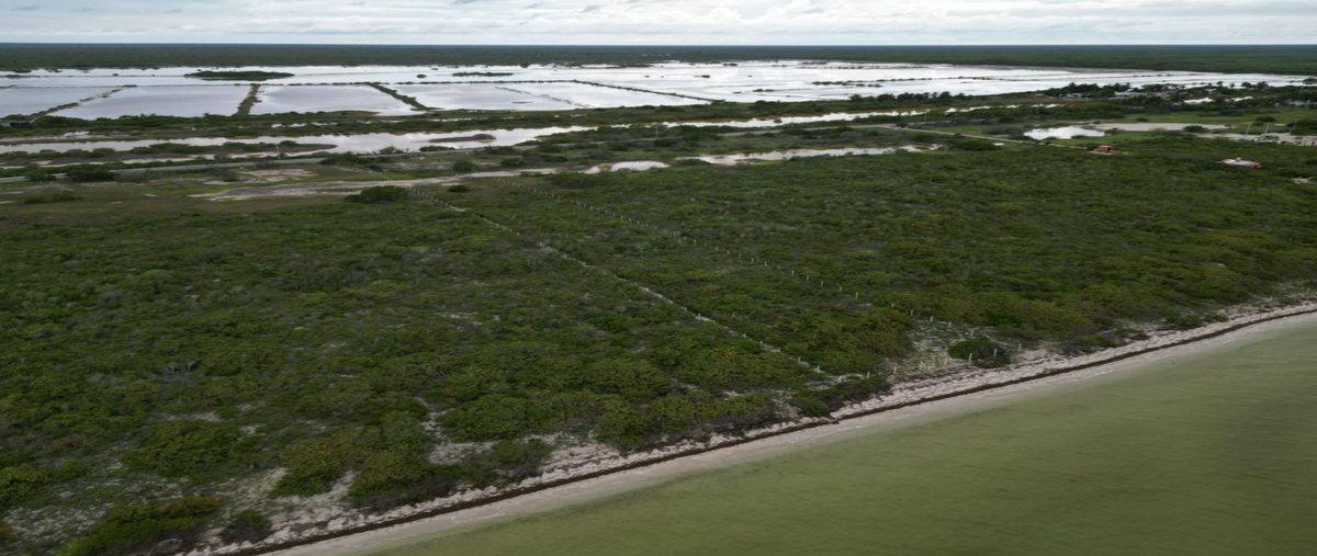 Foto de terreno habitacional en venta en san crisanto , san crisanto, sinanché, yucatán, 30455209 No. 03