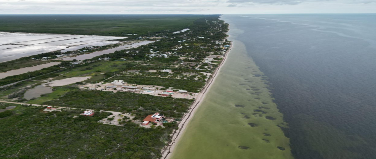Foto de terreno habitacional en venta en san crisanto , san crisanto, sinanché, yucatán, 30455209 No. 04