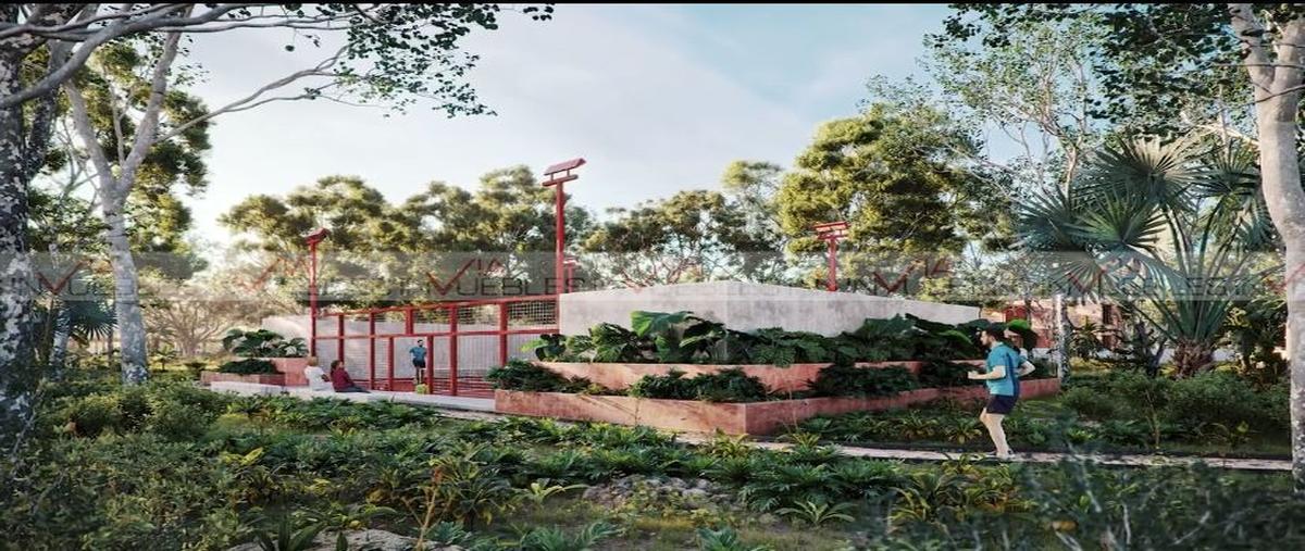 Foto de terreno habitacional en venta en san crisanto , san crisanto, sinanché, yucatán, 0 No. 04