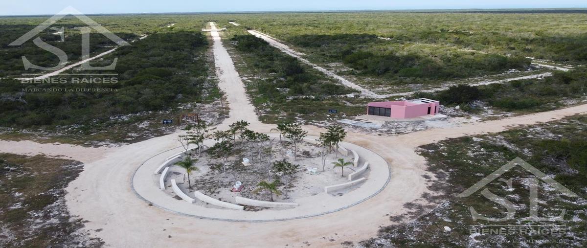 Foto de terreno habitacional en venta en  , san crisanto, sinanché, yucatán, 27251501 No. 03