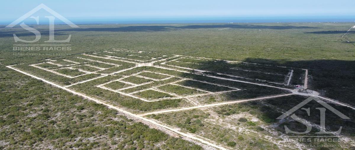 Foto de terreno habitacional en venta en  , san crisanto, sinanché, yucatán, 27251501 No. 04