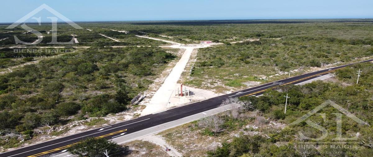 Foto de terreno habitacional en venta en  , san crisanto, sinanché, yucatán, 27251501 No. 05