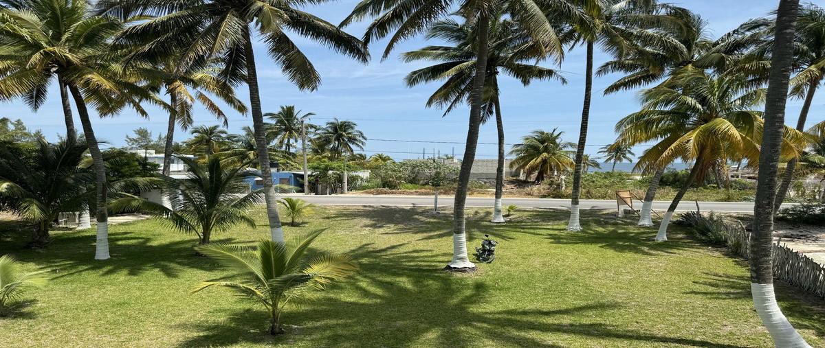 Foto de terreno habitacional en venta en  , san crisanto, sinanché, yucatán, 28048217 No. 03