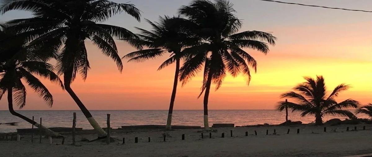 Foto de terreno habitacional en venta en  , san crisanto, sinanché, yucatán, 28048217 No. 04