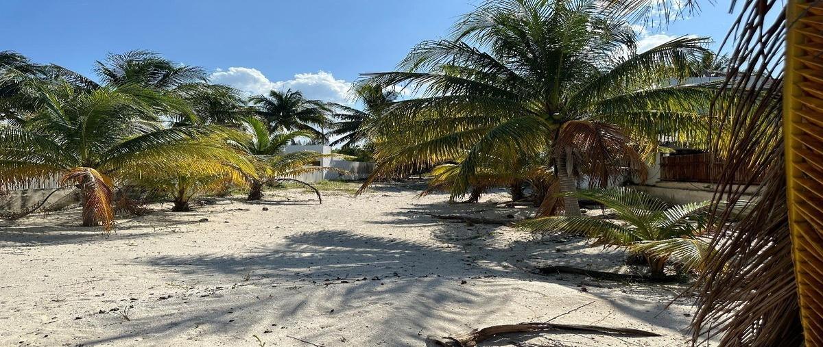 Foto de terreno habitacional en venta en  , san crisanto, sinanché, yucatán, 0 No. 03