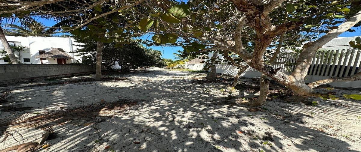 Foto de terreno habitacional en venta en  , san crisanto, sinanché, yucatán, 0 No. 04