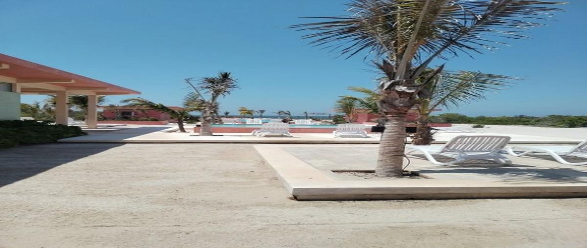 Foto de terreno habitacional en venta en  , san crisanto, sinanché, yucatán, 0 No. 03