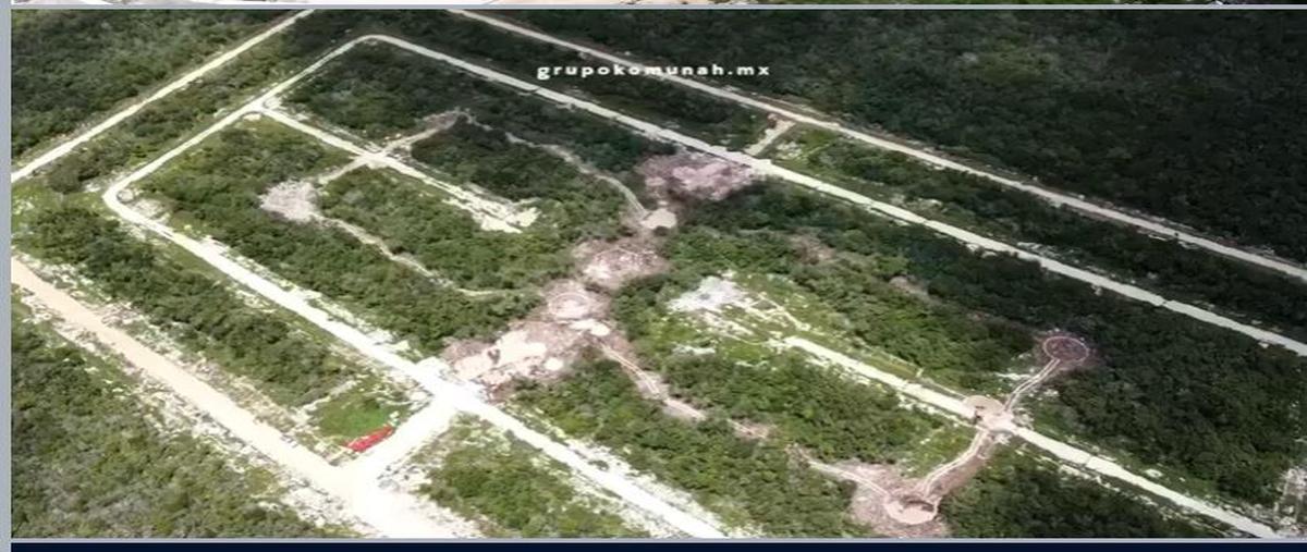 Foto de terreno habitacional en venta en  , san crisanto, sinanché, yucatán, 28792408 No. 05