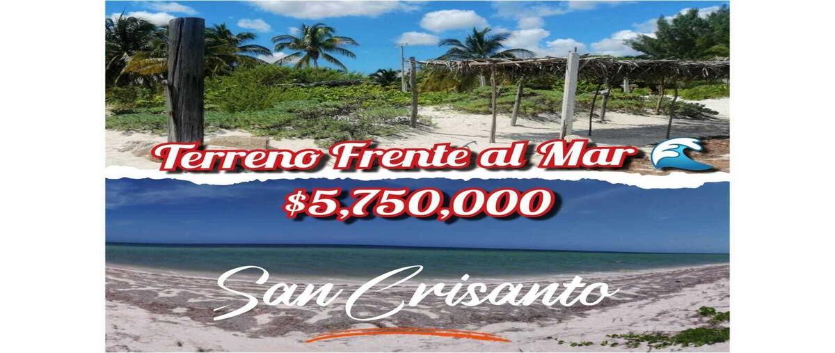 Foto de terreno habitacional en , san crisanto, sinanché, yucatán, 0 foto 01 Foto de terreno habitacional en venta en , san crisanto, sinanché, yucatán, 0 No. 01