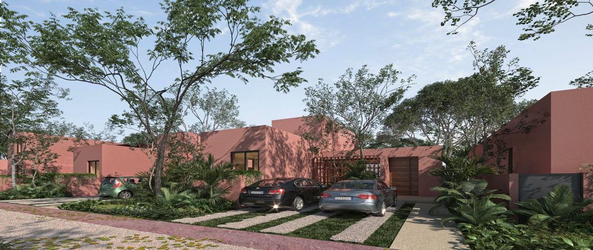 Foto de rancho en , san crisanto, sinanché, yucatán, 0 foto 03 Foto de rancho en venta en , san crisanto, sinanché, yucatán, 0 No. 03