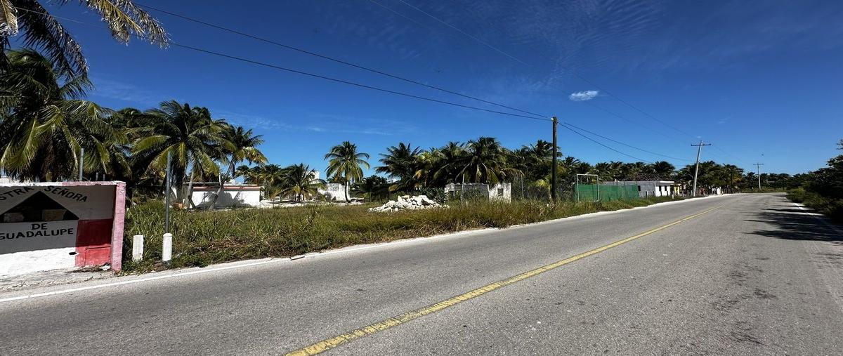 Foto de terreno habitacional en venta en  , san crisanto, sinanché, yucatán, 0 No. 05