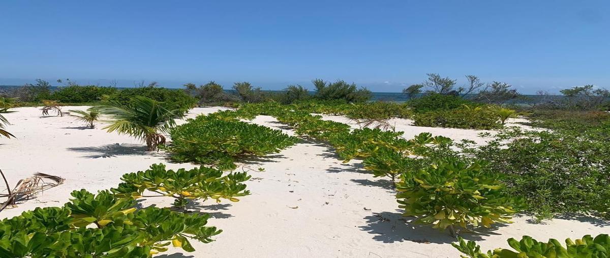 Foto de terreno habitacional en venta en  , san crisanto, sinanché, yucatán, 29939048 No. 03
