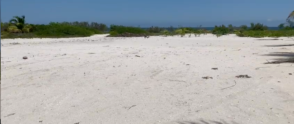 Foto de terreno habitacional en venta en  , san crisanto, sinanché, yucatán, 29939048 No. 04