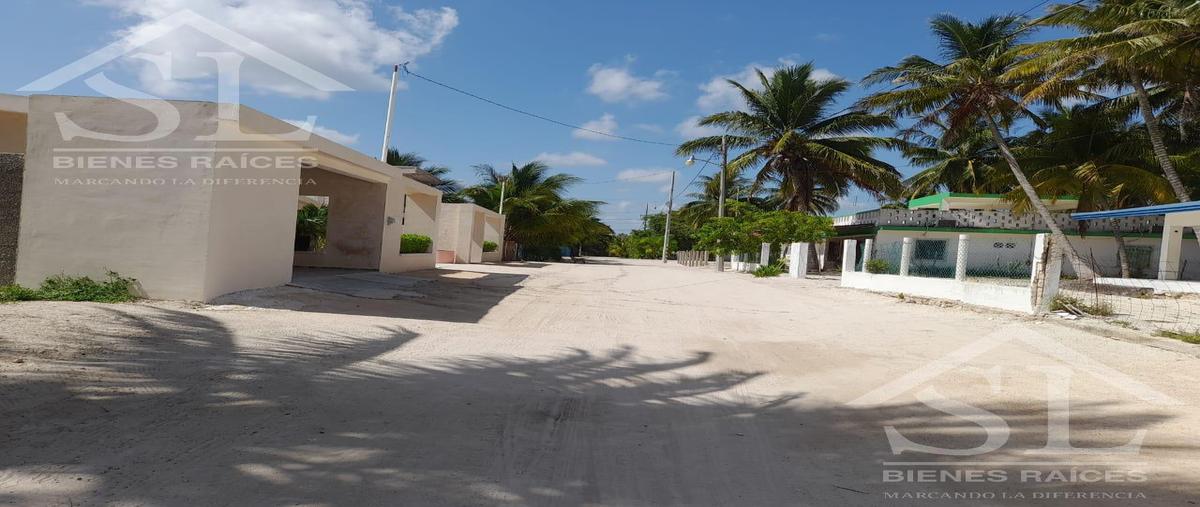 Foto de terreno habitacional en , san crisanto, sinanché, yucatán, 0 foto 04 Foto de terreno habitacional en venta en , san crisanto, sinanché, yucatán, 0 No. 04