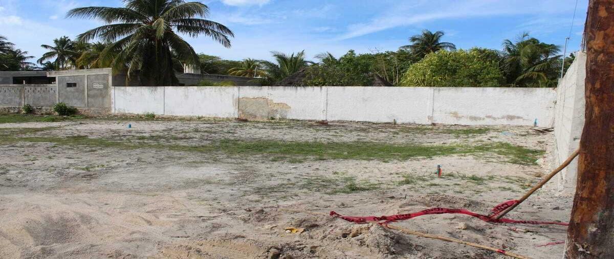 Foto de terreno habitacional en venta en  , san crisanto, sinanché, yucatán, 0 No. 05
