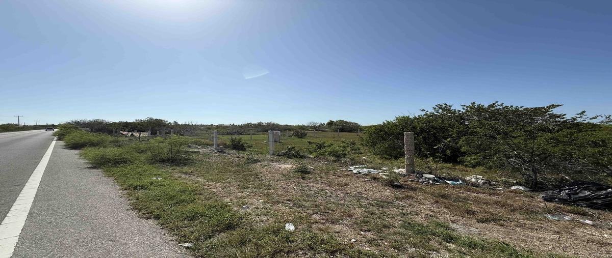 Foto de terreno habitacional en venta en - , san crisanto, sinanché, yucatán, 30266048 No. 05