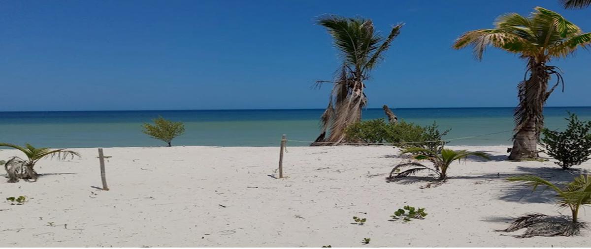 Foto de terreno habitacional en venta en  , san crisanto, sinanché, yucatán, 0 No. 03