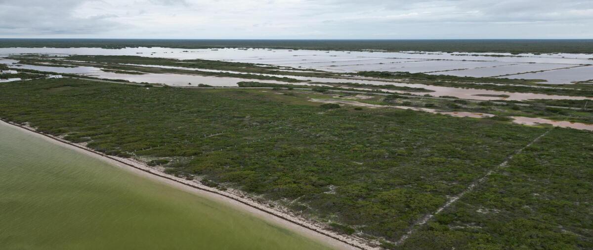 Foto de terreno habitacional en venta en  , san crisanto, sinanché, yucatán, 30526720 No. 04