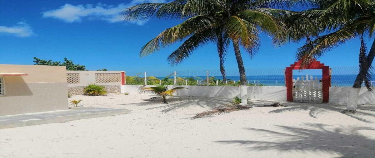 Foto de casa en , san crisanto, sinanché, yucatán, 0 foto 04 Foto de casa en venta en , san crisanto, sinanché, yucatán, 0 No. 04