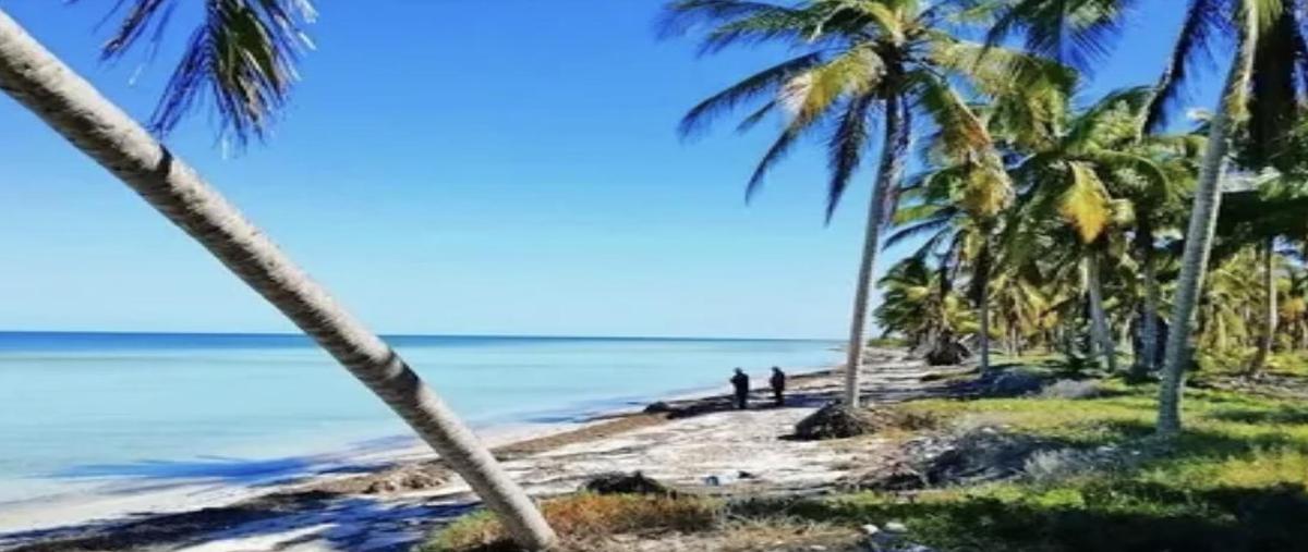 Foto de terreno habitacional en venta en  , san crisanto, sinanché, yucatán, 0 No. 04