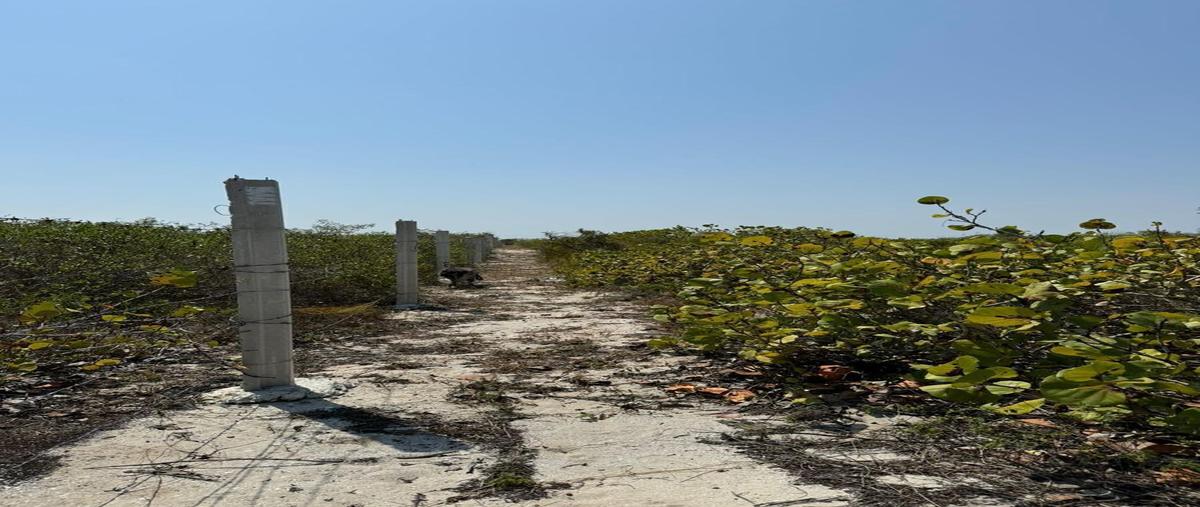 Foto de terreno habitacional en venta en  , san crisanto, sinanché, yucatán, 0 No. 03