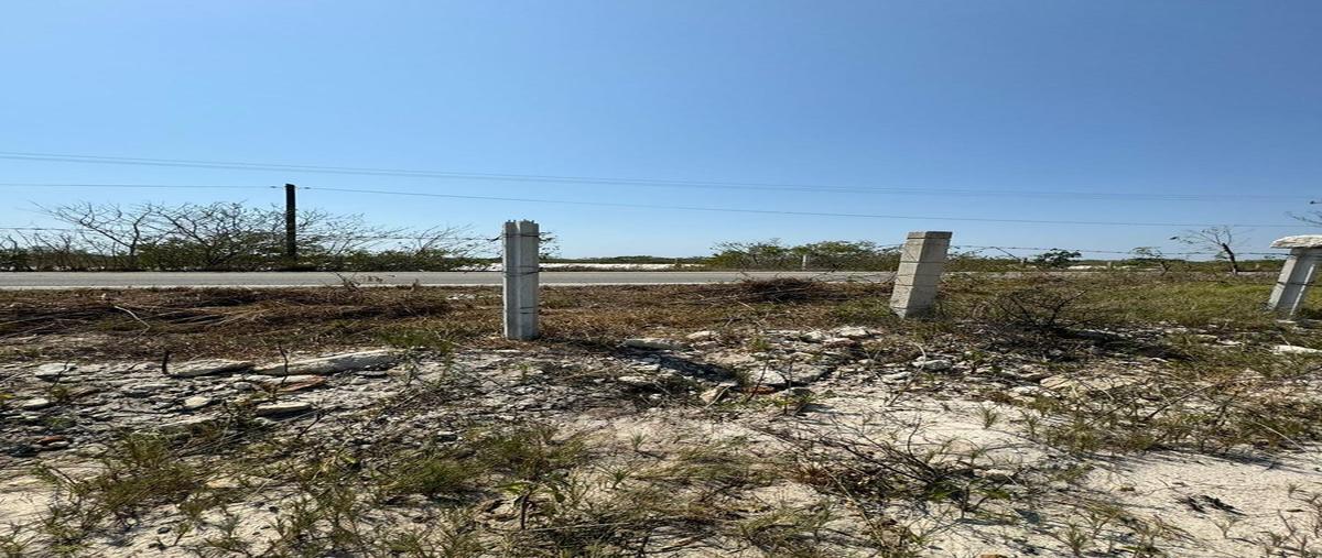Foto de terreno habitacional en venta en  , san crisanto, sinanché, yucatán, 0 No. 04