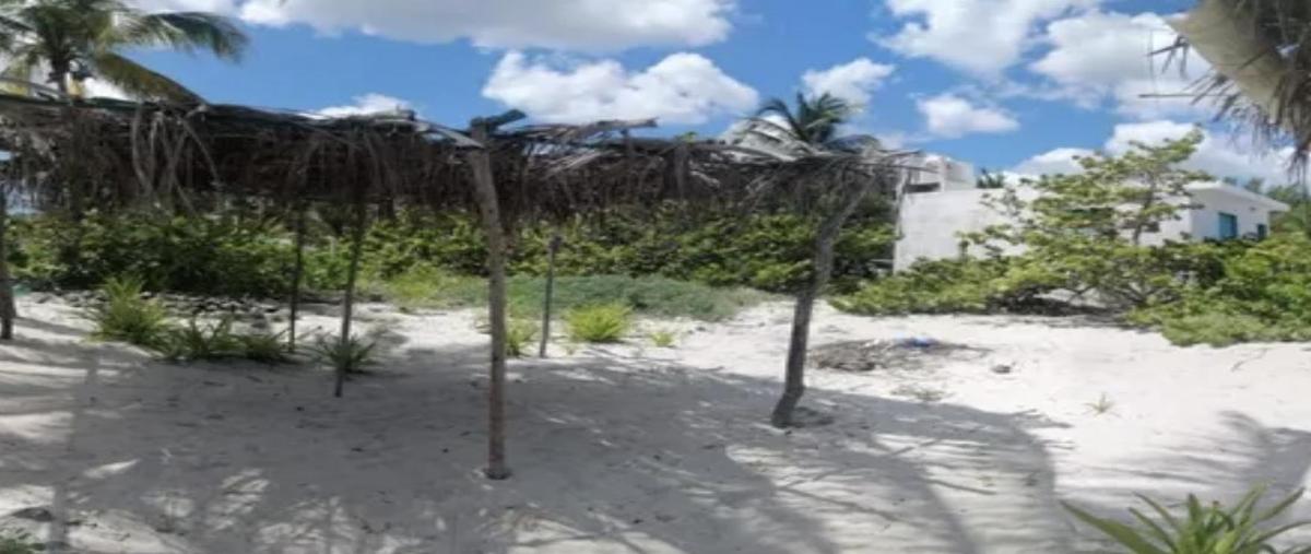 Foto de terreno habitacional en venta en  , san crisanto, sinanché, yucatán, 30711264 No. 03