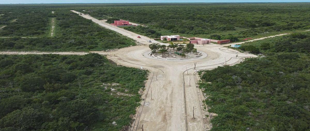 Foto de terreno habitacional en venta en  , san crisanto, sinanché, yucatán, 0 No. 04