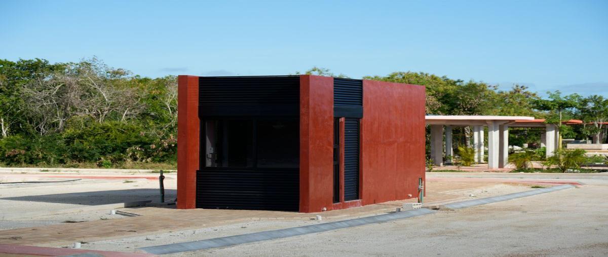 Foto de terreno habitacional en venta en  , san crisanto, sinanché, yucatán, 0 No. 05